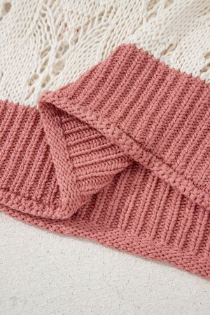 Embroidered Flowers Colorblock Edge Hollowed Sweater