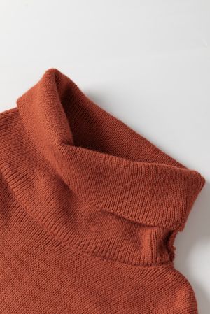Women’s Color Block Turtleneck Sweater