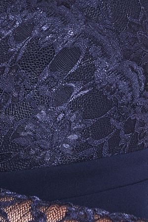 Women's Navy Lace Long Sleeve Mini Dress