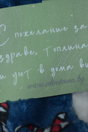 Christmas Plush Slippers in Blue