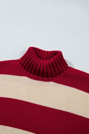 Women’s Knitted Sweater with High Neck and Contrast Stripes