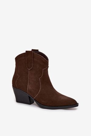 Women's Dark Brown Suede Ankle Boots with Block Heel